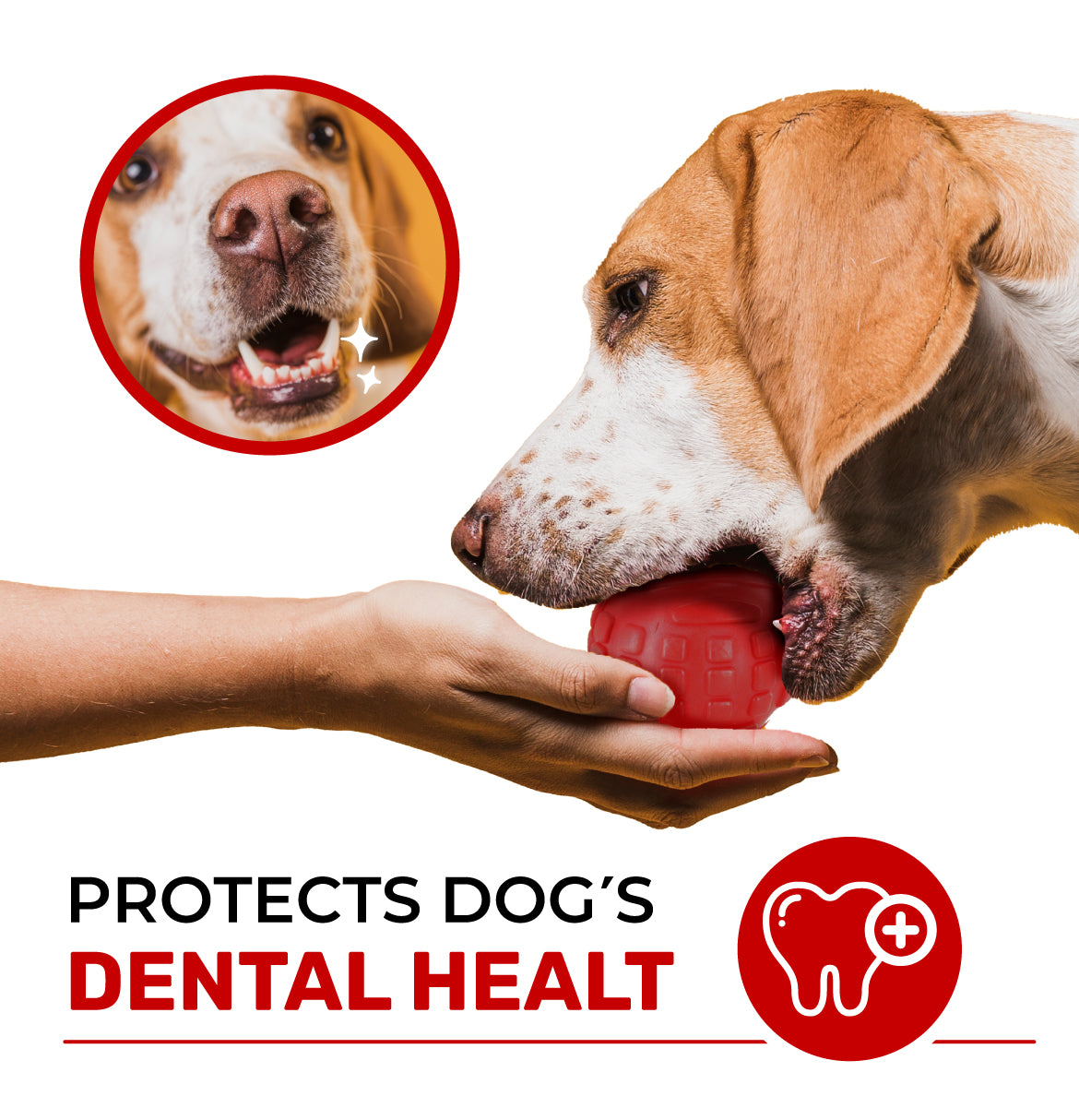 Dog treat dispenser ball - ideal for mental stimulation and slow feeding