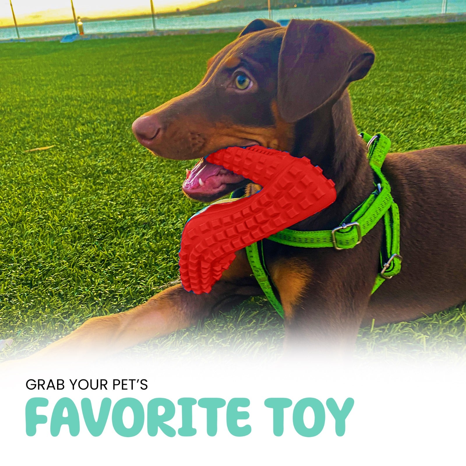 Long-lasting dog chew toy for aggressive chewers, made with eco-friendly materials