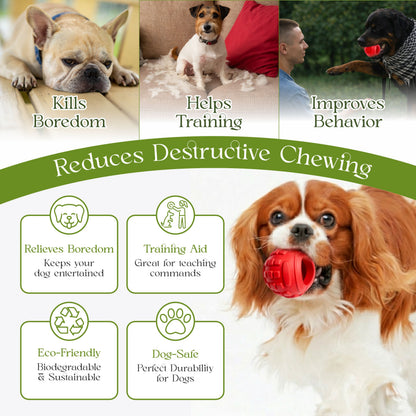 Dog Chew Toys for Aggressive Chewers - Treat Dispensing Chew Ball Interactive Small Medium Dog Puzzle Toys