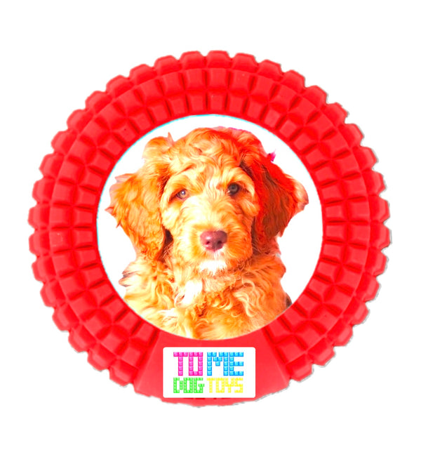 TOME DOG TOYS