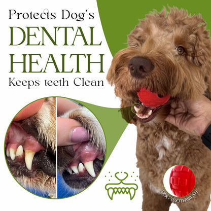 Dog Chew Toys for Aggressive Chewers - Treat Dispensing Chew Ball Interactive Small Medium Dog Puzzle Toys
