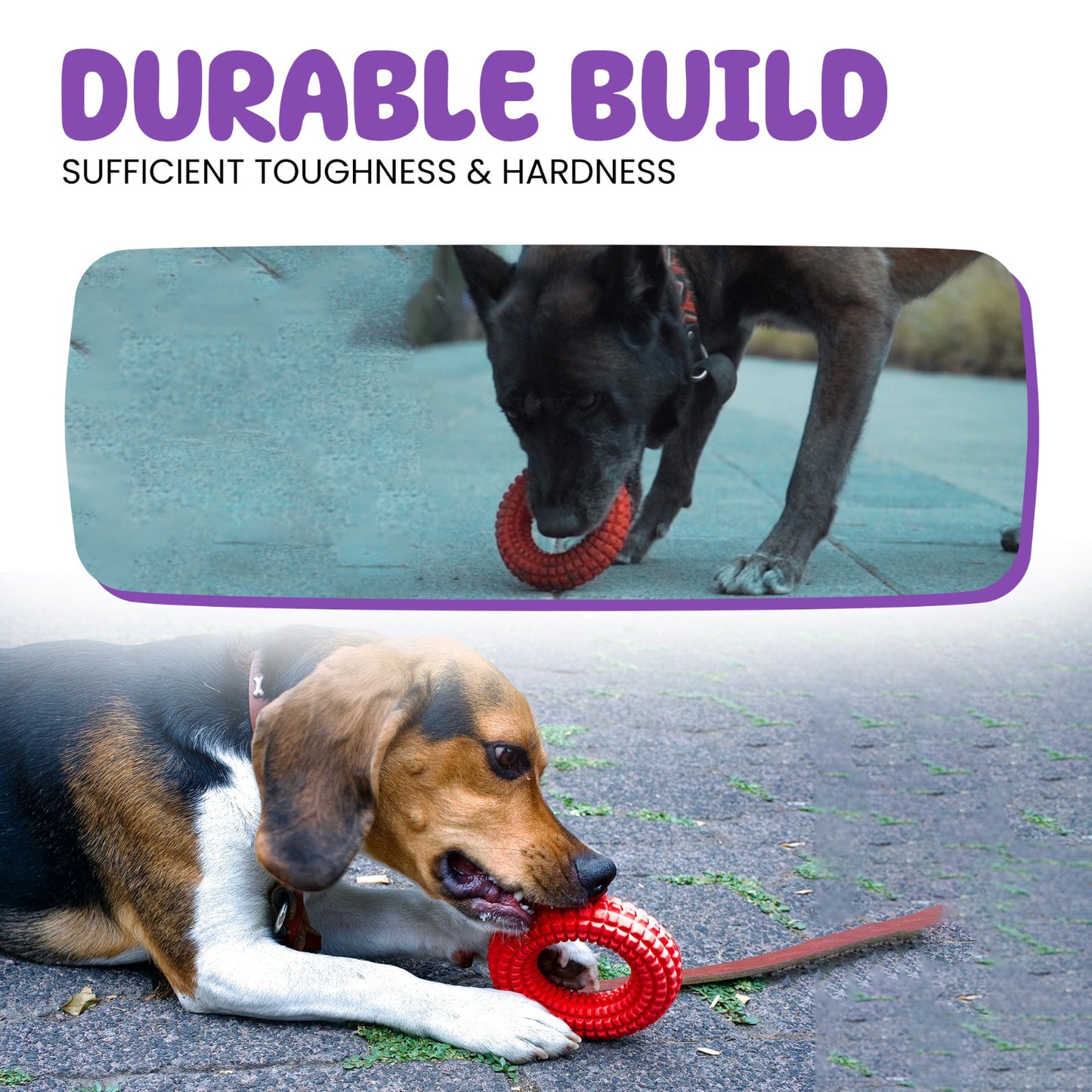 Durable dog toy for powerful chewers - keeps teeth clean and strong