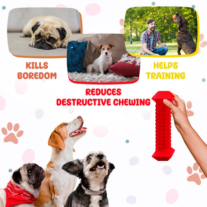 TOME DOG TOYS Bone Large - Dispensador de masticables y golosinas para perros
