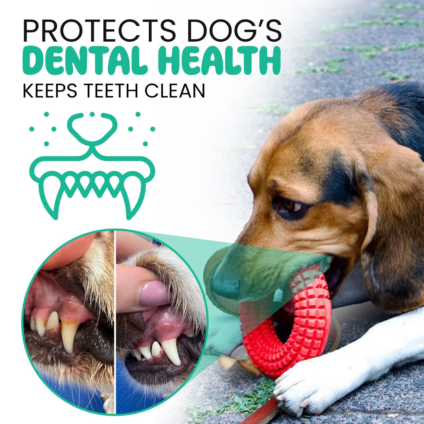 Interactive dog chew toy for strong chewers - designed to prevent destruction