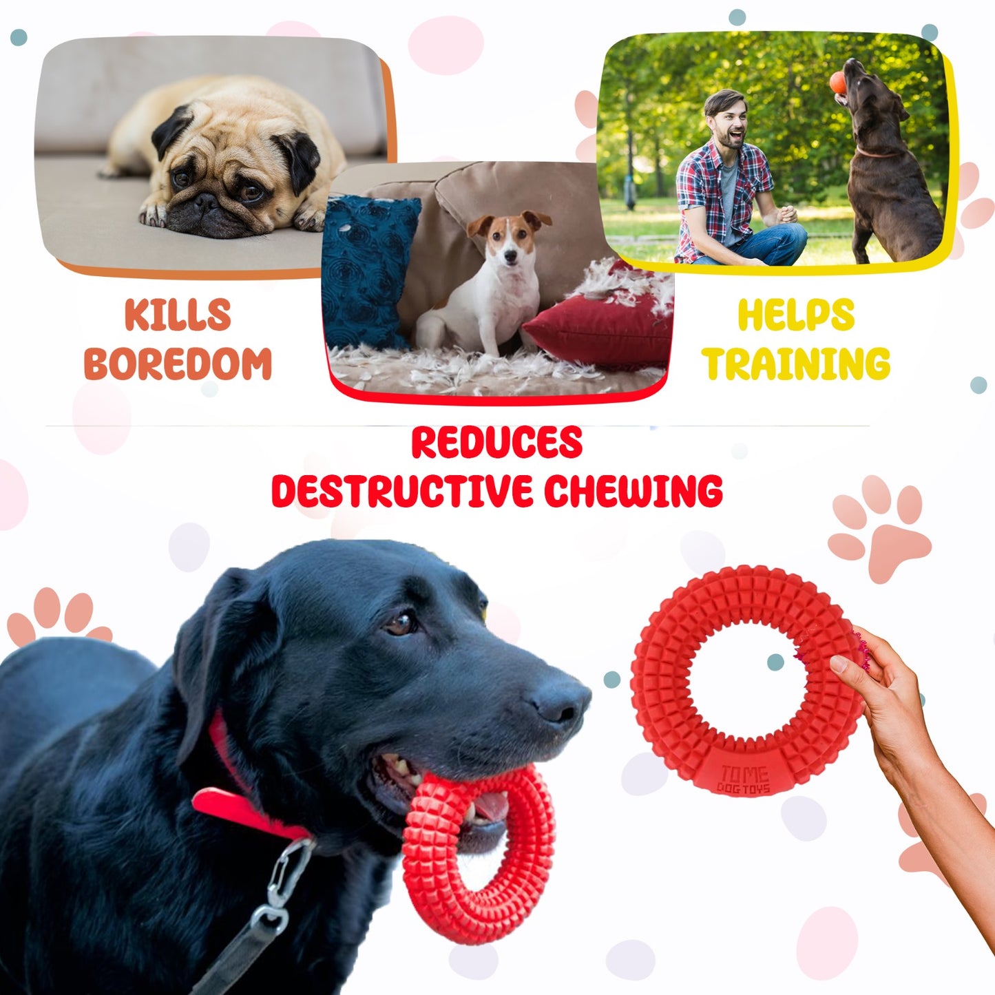 TOME DOG TOYS Paquete de 3 - Juguetes masticables para perros pequeños y medianos