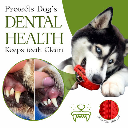 Juguetes para perros para masticadores agresivos, zapatos para masticar dispensadores de golosinas, juguetes interactivos para perros pequeños y medianos