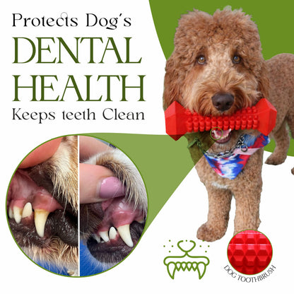 Dog Chew Toys for Aggressive Chewers – Tough Chew Toys for Dogs with Treat Dispenser  - Chew Bones for Large Dogs