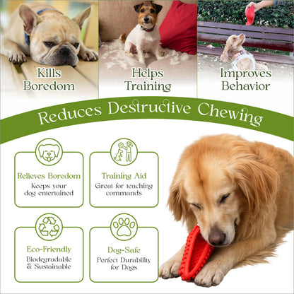 Juguetes para perros para masticadores agresivos, zapatos para masticar dispensadores de golosinas, juguetes interactivos para perros pequeños y medianos