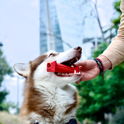 High-quality chew toy for dogs - built to withstand intense chewing